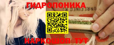 бошки Гай