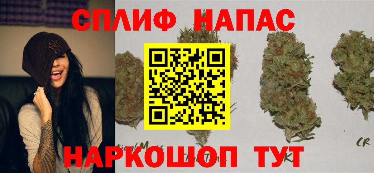 Каннабис сатива Батайск